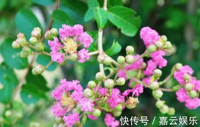 生肖男|这三个生肖男,对爱人疼爱有加,嫁给他们就嫁对了人