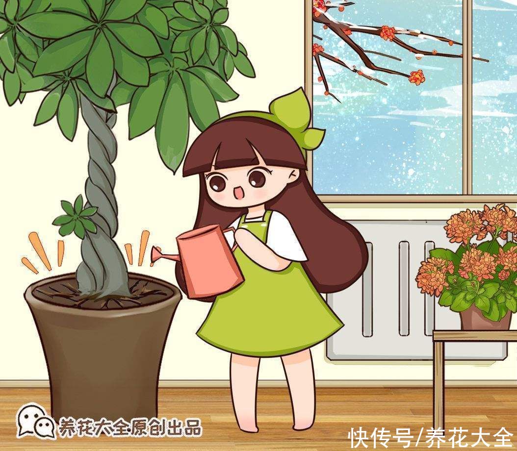 黄叶|家里通风差,不要养这3种花,黄叶招虫很麻烦