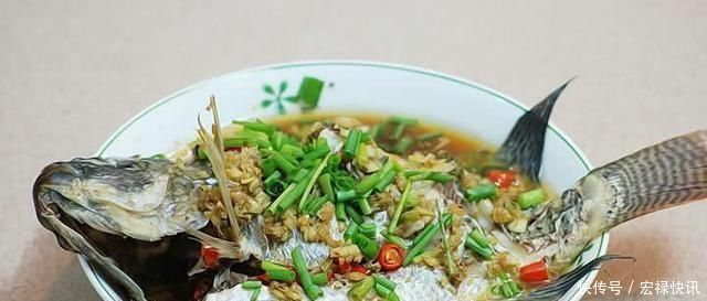 野生鱼类|河里的“非洲鲫鱼”成灾,一两斤一条,却黑得吓人,能吃吗