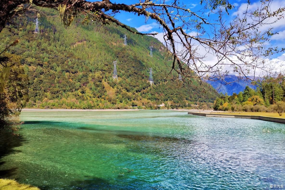 独自自驾游 欣赏最美的岗云杉林 体验环藏之旅的慢生活