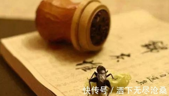 夏虫#历史上有名的6句“脏话”,骂人不带脏字,还可能以为是在夸人