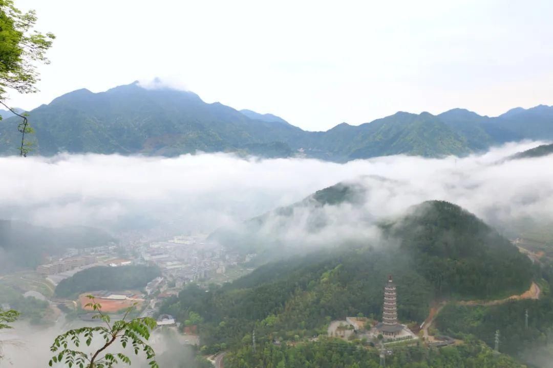 上帝偏爱的山水秘境！日出云海，观星赏花……这个浙南宝地是藏不住啦~