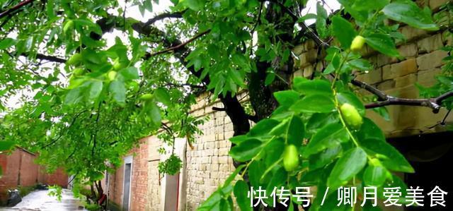 牡丹花|家有五树,儿孙都富!有院子建议栽5种树,看花,收果,寓意吉利