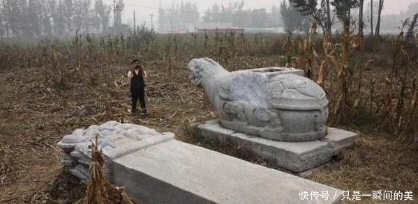 激动|一农民家拆掉鸡窝,考古队得知后激动的说等这一天十几年了!