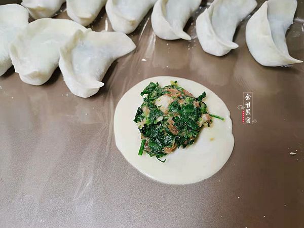 冬季此蔬菜正鲜嫩，与肉做馅包水饺，翠绿鲜美全家都爱吃