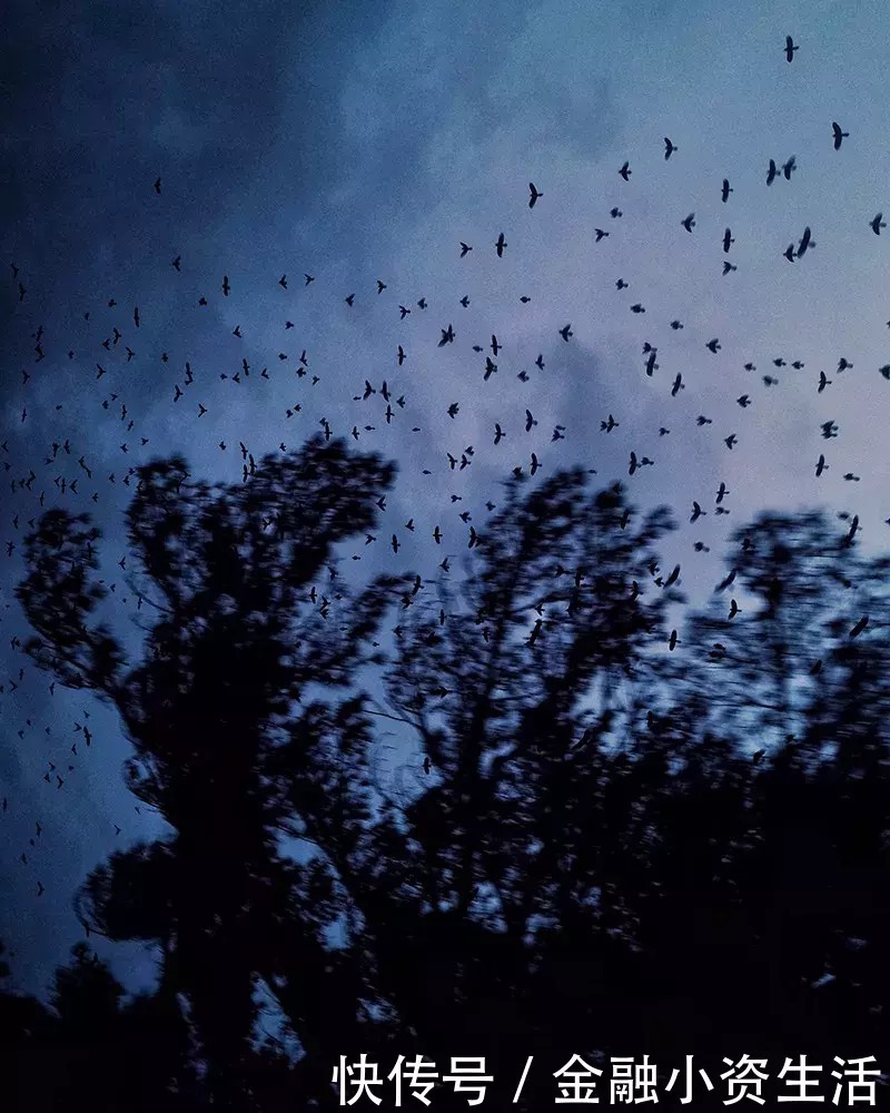  天生就闪耀着勇敢的微笑|骆一禾 | 闪耀着