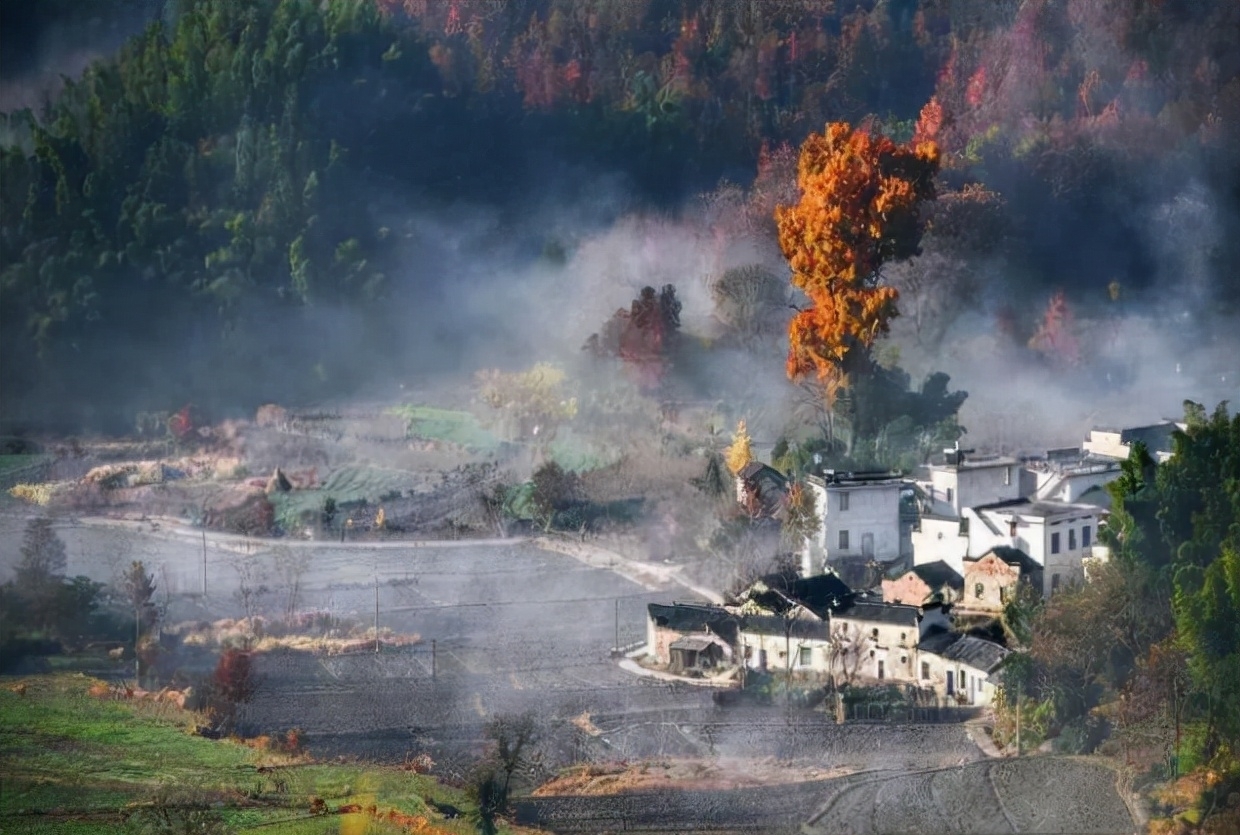 最是年年枫叶好 山村丽景唤吾归（七绝-秋游家乡抒怀）|严从怀 | 枫叶