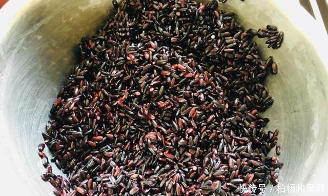 红豆|黑米红豆粥,易于在家制作美味,不再需要在外面购买