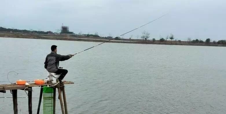 鲫鱼|钓鱼时大声说话,真的能把进窝的鱼惊散么