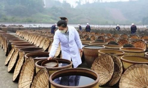 醋直接吃就“错”了!多加1步变得更香醇,做法简单,却少有人知