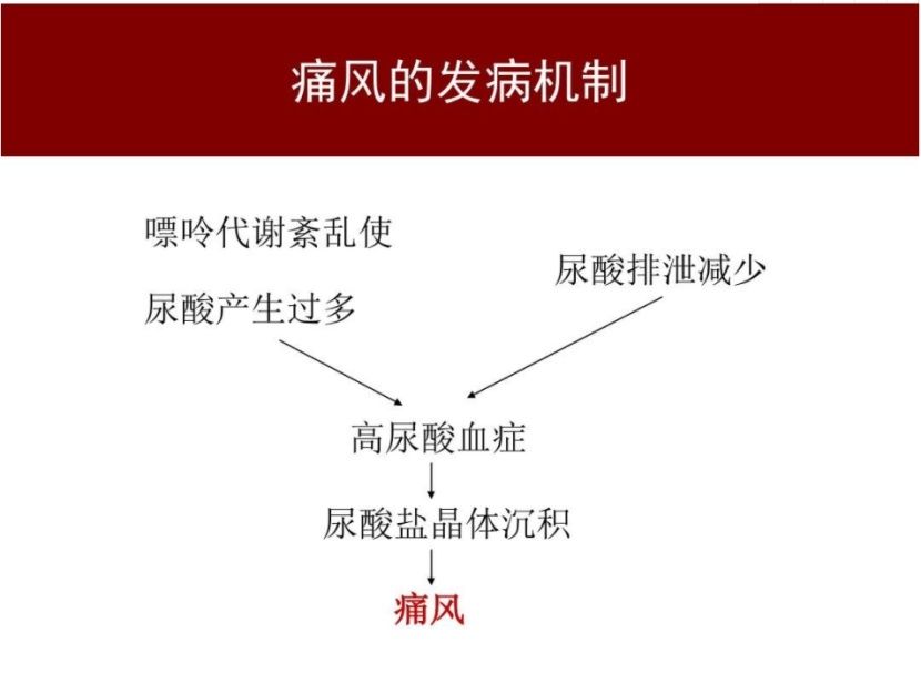 关节|浅谈痛风与依托考昔片