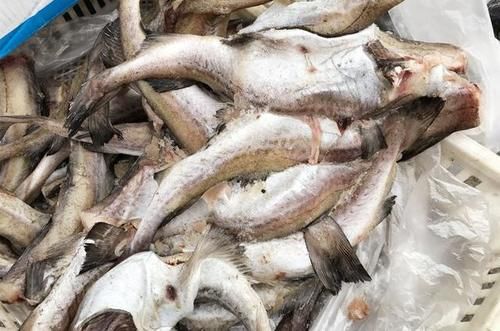 冬天进补，牛羊肉都不如它，6元一斤，简单一蒸，营养全面又美味