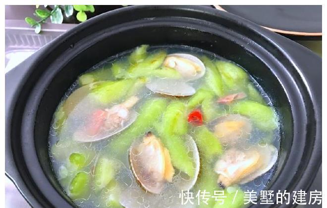 花蛤|这菜8月正当时,清热解暑又防燥,好吃不贵,四种做法最家常
