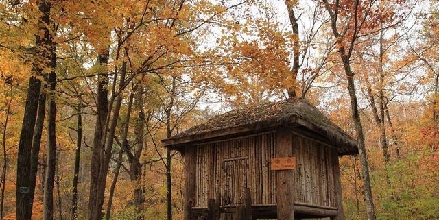 中国|二战中绝对的中国英雄,所有人无法想象的铮铮铁骨,杨靖宇