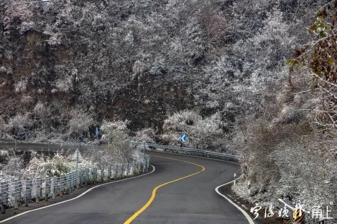 来访|初雪来访，宁波四明山这条公路迎来游客打卡！现场美成这样