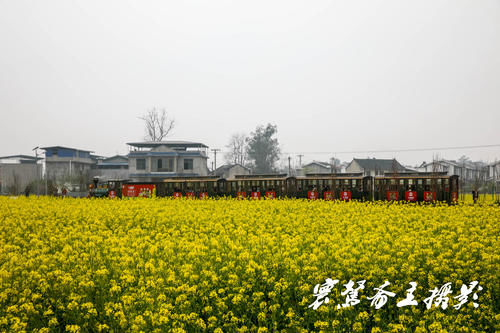 解密潼南的陈抟故里景区，来这里观赏油菜花海已成了水陆空全覆盖