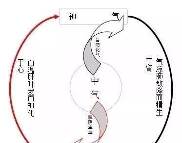 慢性病|一切慢性疾病，都能在腹部找到“病灶”！中医1招，让疾病断根！