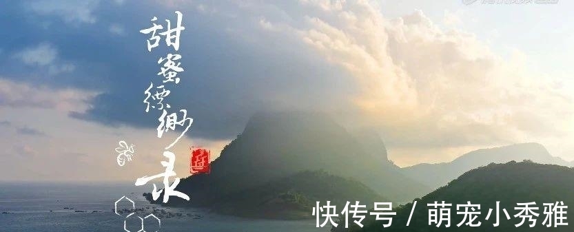 离开《舌尖上的中国》,陈晓卿做了一档更馋人的节目