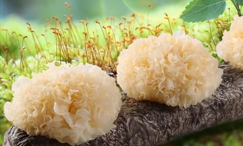 食物|長壽老人最愛吃三種食物，美容養(yǎng)生，滋潤肌膚，早吃早好！