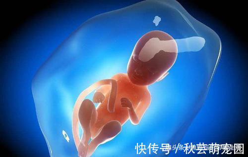 体重|孕晚期最后一个月胎儿还会长吗?还会长多少?