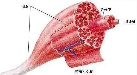 撞臉黃景瑜，身材不輸彭于晏，孫健淇告訴你男人有肌肉就有男友力