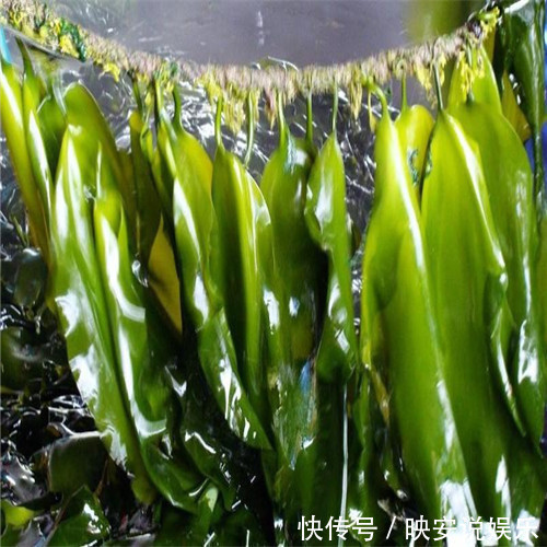 排毒|海带绝对是排毒王，但千万不能和它一起吃，很多人还傻傻的在吃！