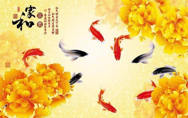 精华|俗语家有一老,如有一宝,下半句才是精华,少有人知,值得深思