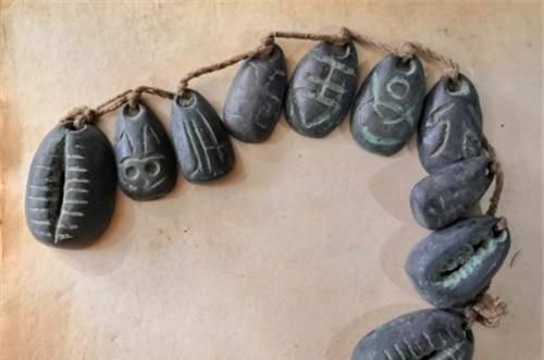 贝类|先秦流通货币是贝壳,为何人们不去海边捡专家不捡才是聪明人