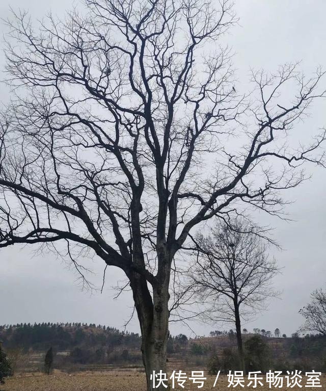故乡山，家乡情