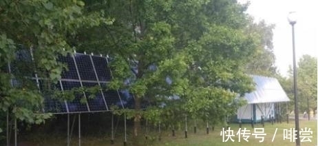 轮胎公司|生肉造型的大理石装置，溅满水滴的马桶圈，这些怪设计让人崩溃