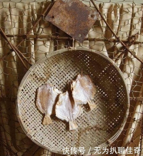 铁丝网#冷军画一幅烂勺子被拍卖41万,后来又画坏咸鱼,更为真实