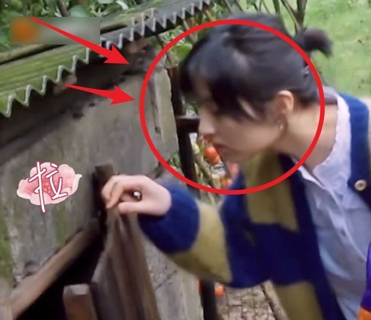 張藝興去雞窩掏雞蛋，看到張子楓的舉動，變開朗了還變調(diào)皮了