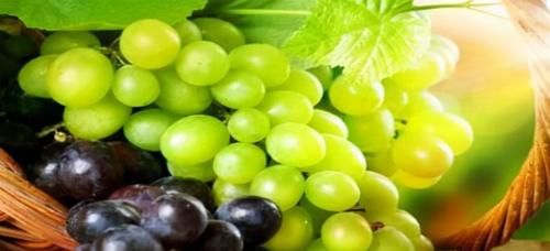 美容养颜|想一直年轻，适合吃几种好食物，美容养颜、安神助眠，促进消化