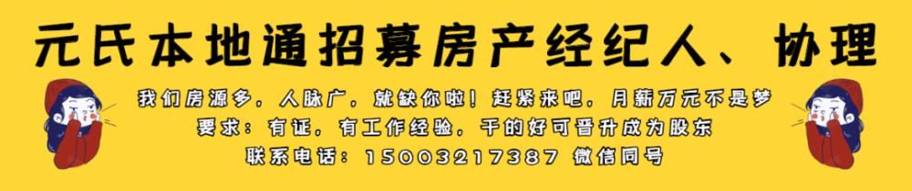 正是|元氏深山里藏着一棵千年银杏树，现在正是满树金黄时