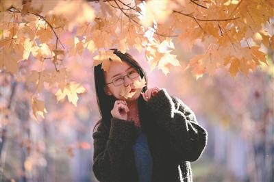 秋天|留住秋天的回忆