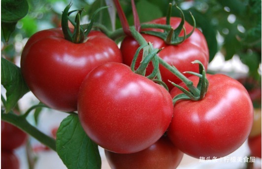 含有|西红柿好吃营养,每天吃1个,4个好处便会“从天而降”,早知早好