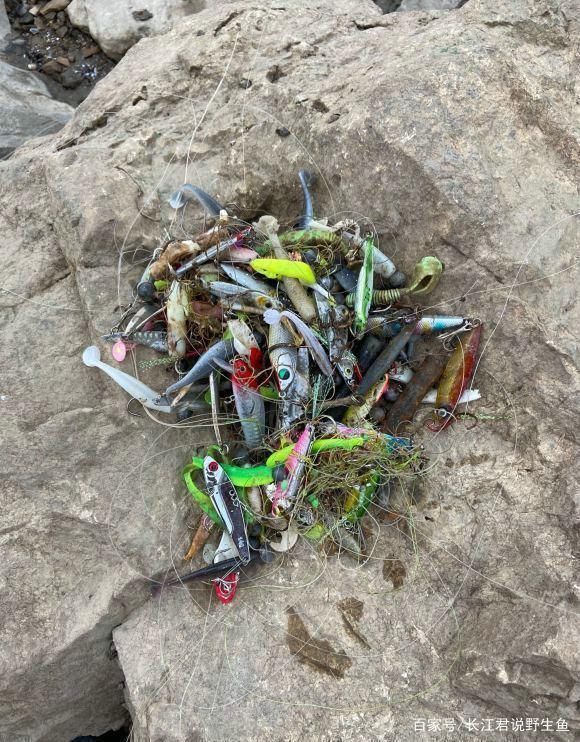小知识|珠江水浅，有人钓起一大堆“假鱼”，价值千元