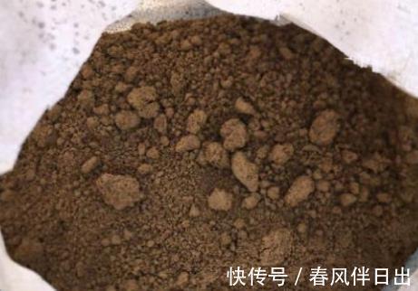 多肉|养植多肉，如何配土？