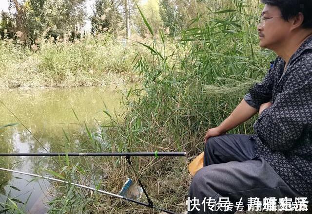 饵料|野钓时间越长，越逼近“水面鱼星泛滥，却不吃饵”的实质原因
