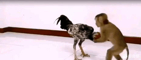 |搞笑GIF:太坏了 这是人干的事儿吗?