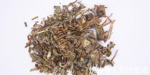 修复器|蒲公英加它,堪称肝细胞“修复器”,养肝排毒,肝硬化或知难而退