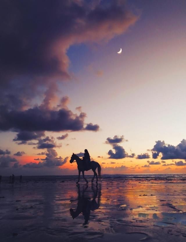 西风烈#海滩诗词27首:把酒黄昏再一杯，缑山新月莫相催