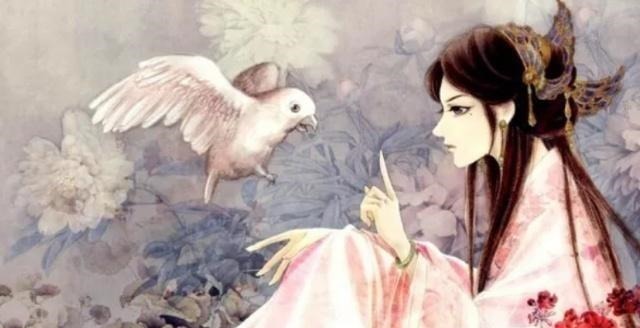 林初九&5本穿越重生文推荐,既然做不了闲人,那就鸿鹄展翅凤鸣九天!