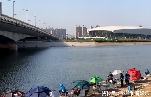 垂钓|南京一河道鲻鱼“爆发”,大的五六斤,有人每天打几十斤窝料