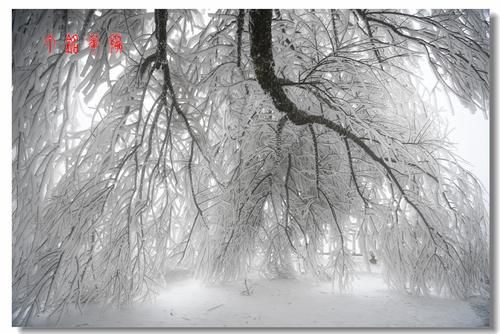 铅山|铅山葛仙山白雪皑皑，犹如冰雪童话世界