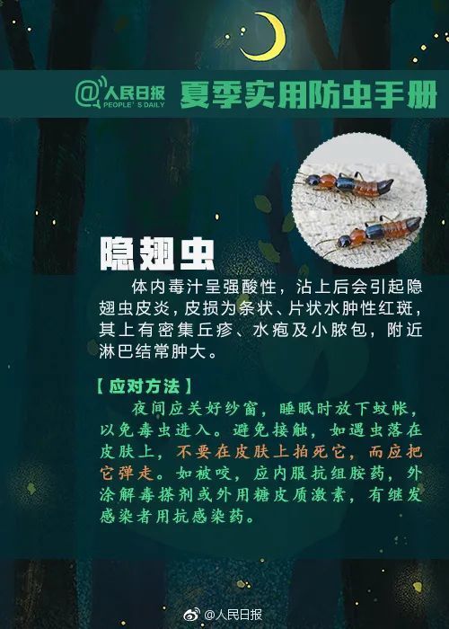 恙虫|可怕！广西男子被虫咬了一口，几天后多器官功能衰竭！
