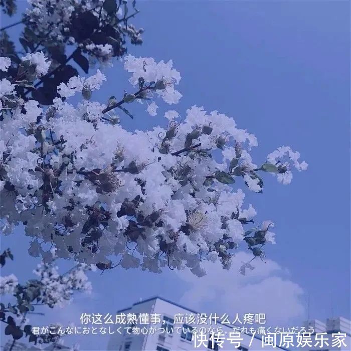 村上春树|神仙·封面丨高情已逐晓云空,不与梨花同梦