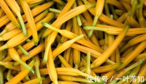 肌肤|中年人老得快?常吃以下食物,稳定情绪,润泽肌肤,延缓衰老