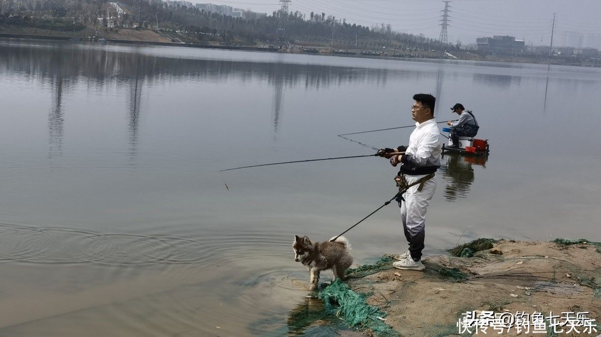 到处不让钓鱼，郑州却做出了榜样！河道划定垂钓区，钓友直呼过瘾