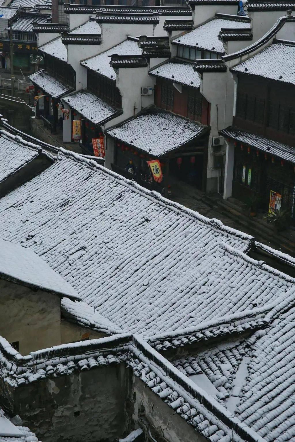 古镇|10万人围观！湖州这座古镇突然火了